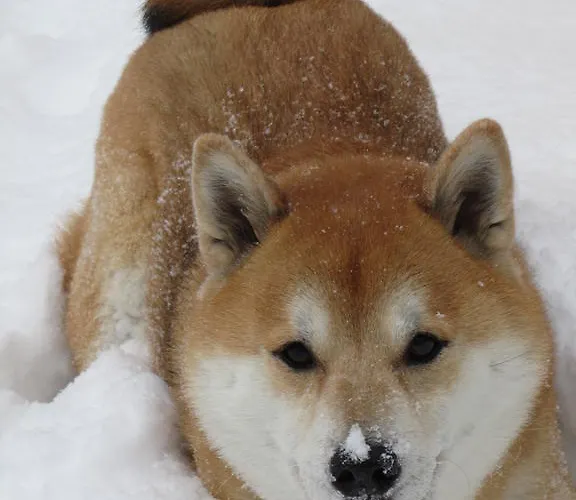 Talheim Дом отдыха Мальниц